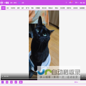 一掌控